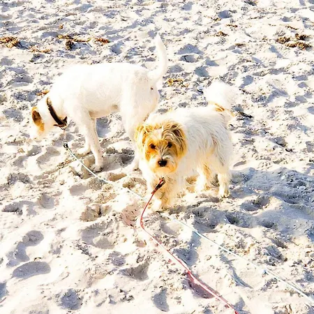 Ostseelodge Feriehus *