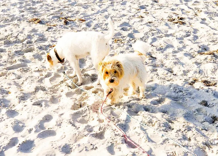 Ostseelodge Vakantiehuis *